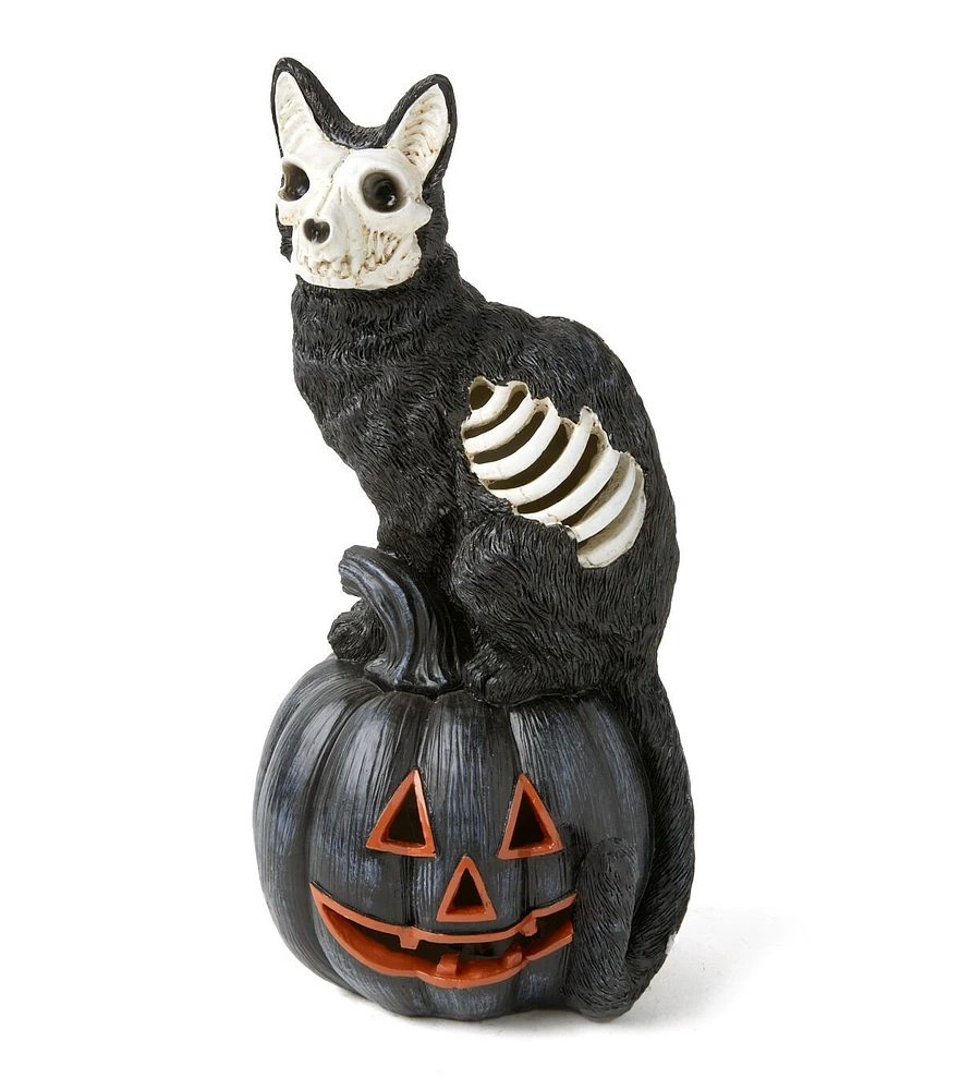 12" Halloween LED Black Skeleton Cat on Pumpkin by Place & Time