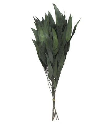 19" Dried Eucalyptus Leaves Bouquet by Bloom Room