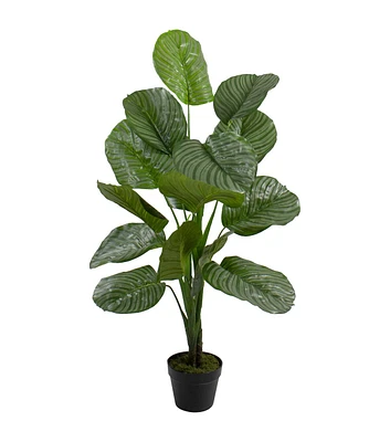 Northlight 4' Potted Two Tone Green Calathea Artificial Floor Plant