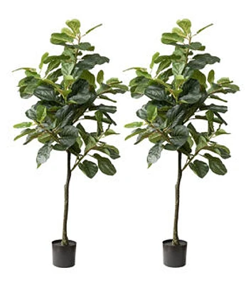 Forever Leaf 60" Artificial Fiddle Leaf Fig Tree With Black Pot 2pk