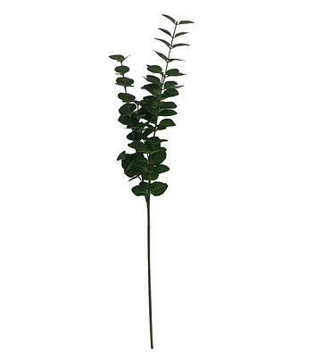 35" Green Eucalyptus Stem by Bloom Room