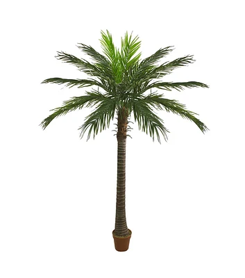 Northlight 7.5' Green and Brown Potted Artificial Phoenix Palm Tree