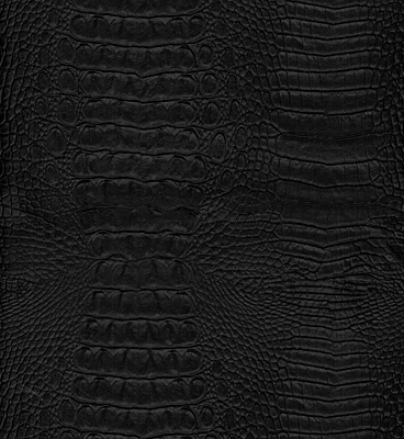 Richloom Crock Black Vinyl Fabric