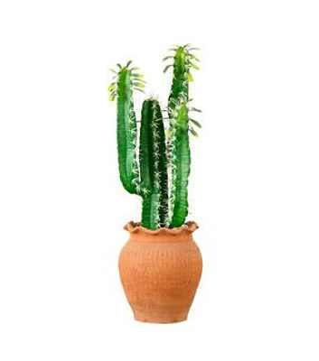 Nearly Natural 28" Green Cactus Plant in Terracotta Vase