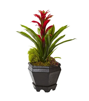 Nearly Natural Bromeliad in Black Hexagon Planter