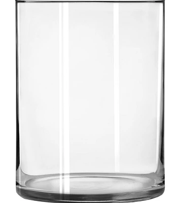 8" Glass Cylinder Vase by Bloom Room