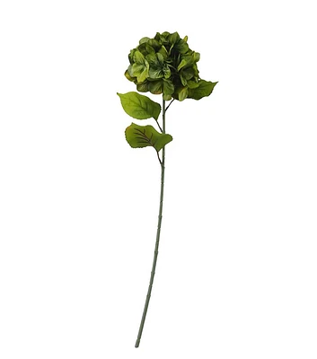 27" Fall Green Hydrangea Stem by Bloom Room