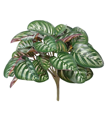 12" Green Prayer Plant Bush by Bloom Room