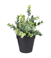 Northlight 10" Green Artificial Melia Azedarach Plant in Black Pot