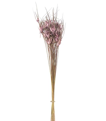 28" Lavender Dried Star Grass Bouquet by Bloom Room