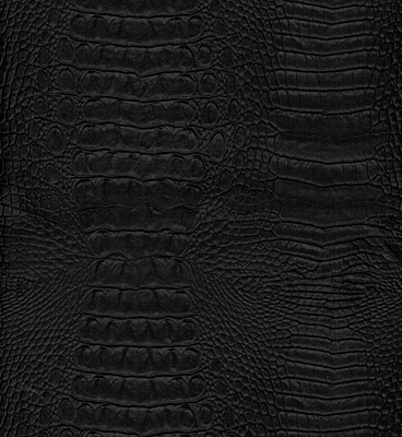 Richloom Crock Black Vinyl Fabric