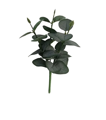 11.5" Green Silver Dollar Eucalyptus Pick by Bloom Room