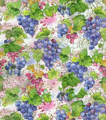 Robert Kaufman Grapevines on White Novelty Cotton Fabric