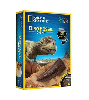 National Geographic Dinosaur Fossil Dig Kit