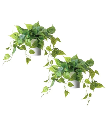 Forever Leaf Artificial Ivy Foliage Plant in Ceramic Pot 2pk