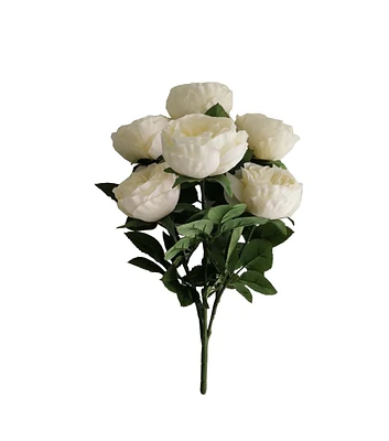 18.5" Cream Cabbage Rose Bush by Bloom Room