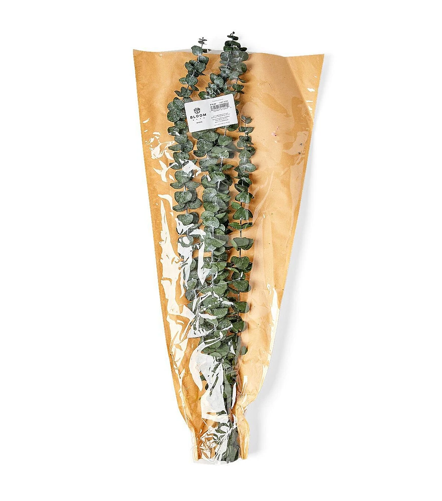 24" Dark Green Dried Eucalyptus Bouquet by Bloom Room