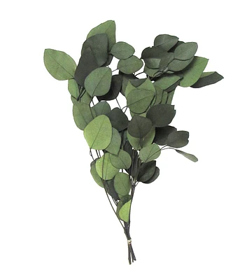 17" Dried Eucalyptus Populus Bouquet by Bloom Room