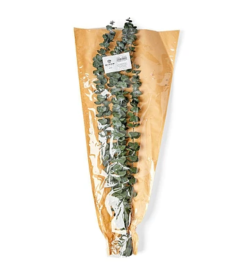 24" Dark Green Dried Eucalyptus Bouquet by Bloom Room