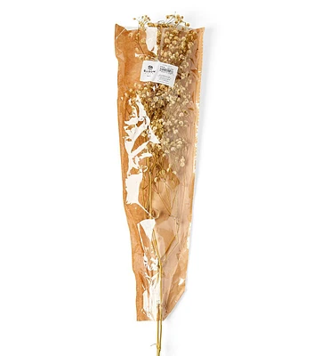 24" Natural Dried Gypsophilas Bouquet by Bloom Room