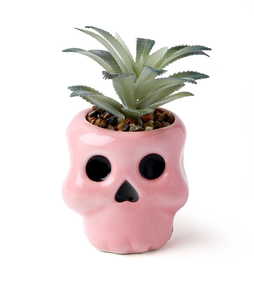 5" Halloween Light Pink Skull Succulent by Happy