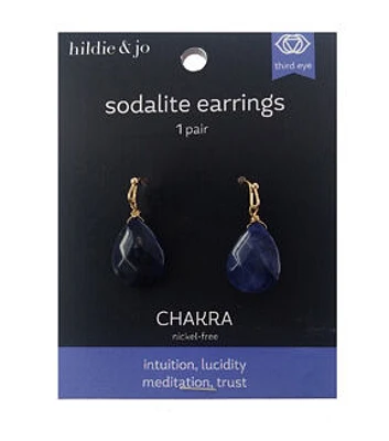 1" Blue Sodalite Teardrop Earrings by hildie & jo