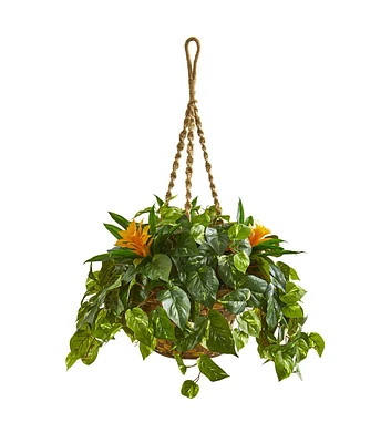 Nearly Natural 31" Bromeliad & Pothos Artificial Plant in Hanging Basket