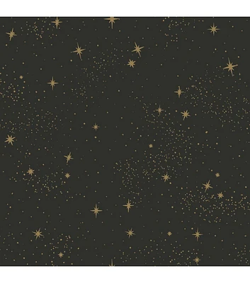 RoomMates Wallpaper Black Upon a Star