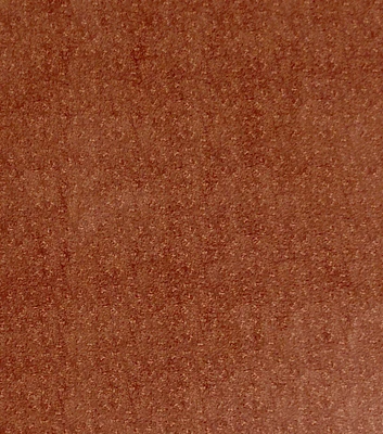 Brown Leaf Cotton Fabric by Keepsake Calico