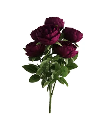 24" Burgundy Cabbage Rose Bush by Bloom Room