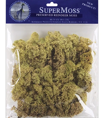 Preserved Reindeer Moss 2oz-Moss Green