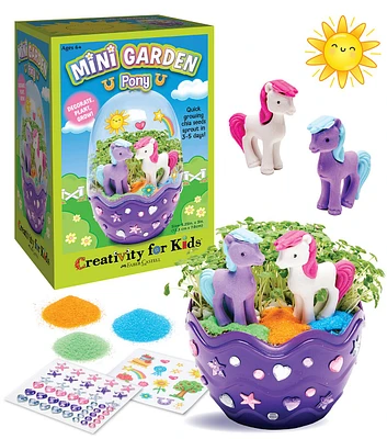 5" Pony Mini Garden Terrarium Kit