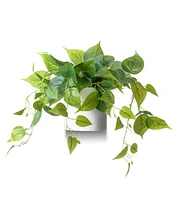 Forever Leaf Artificial Ivy Foliage Plant in Ceramic Pot