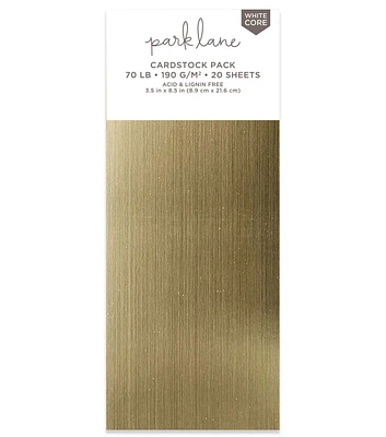 20 Sheet 3.5" x 8.5" Brushed Metallic Cardstock Paper Pack by Park Lane