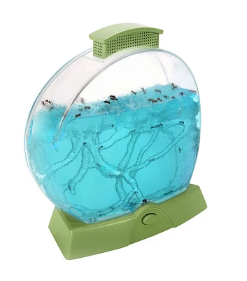 Educational Insights 9" x 8" GeoSafari Day N' Night Ant Farm