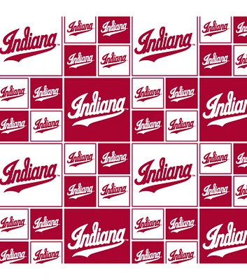 Indiana Hoosiers Cotton Fabric Block