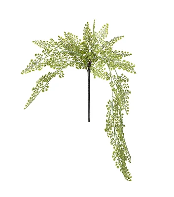 33" Hanging Maidenhair Fern Bush by Bloom Room