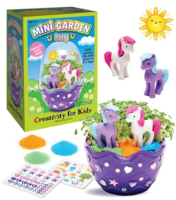 5" Pony Mini Garden Terrarium Kit