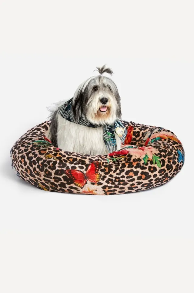 Buy Holly Large Dog Bed