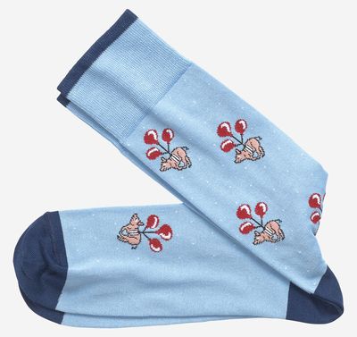 Floating Pig Socks