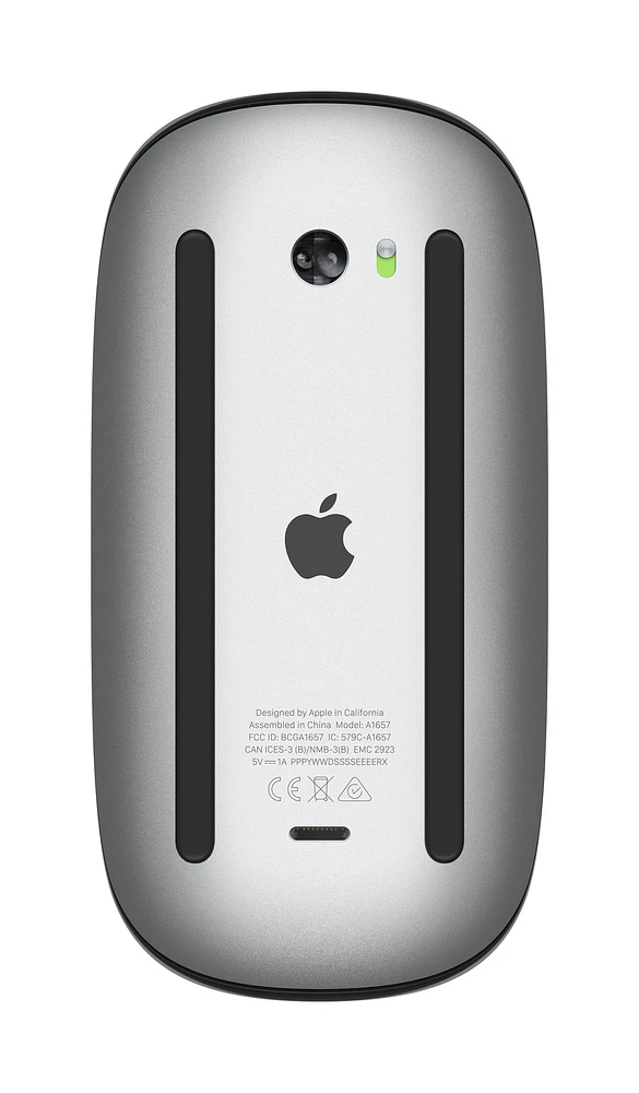 Apple Magic Mouse - Black Multi-Touch Surface