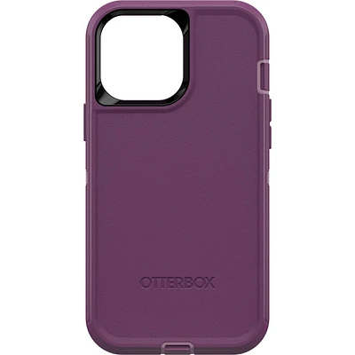 Otterbox Defender Case for iPhone Pro Max