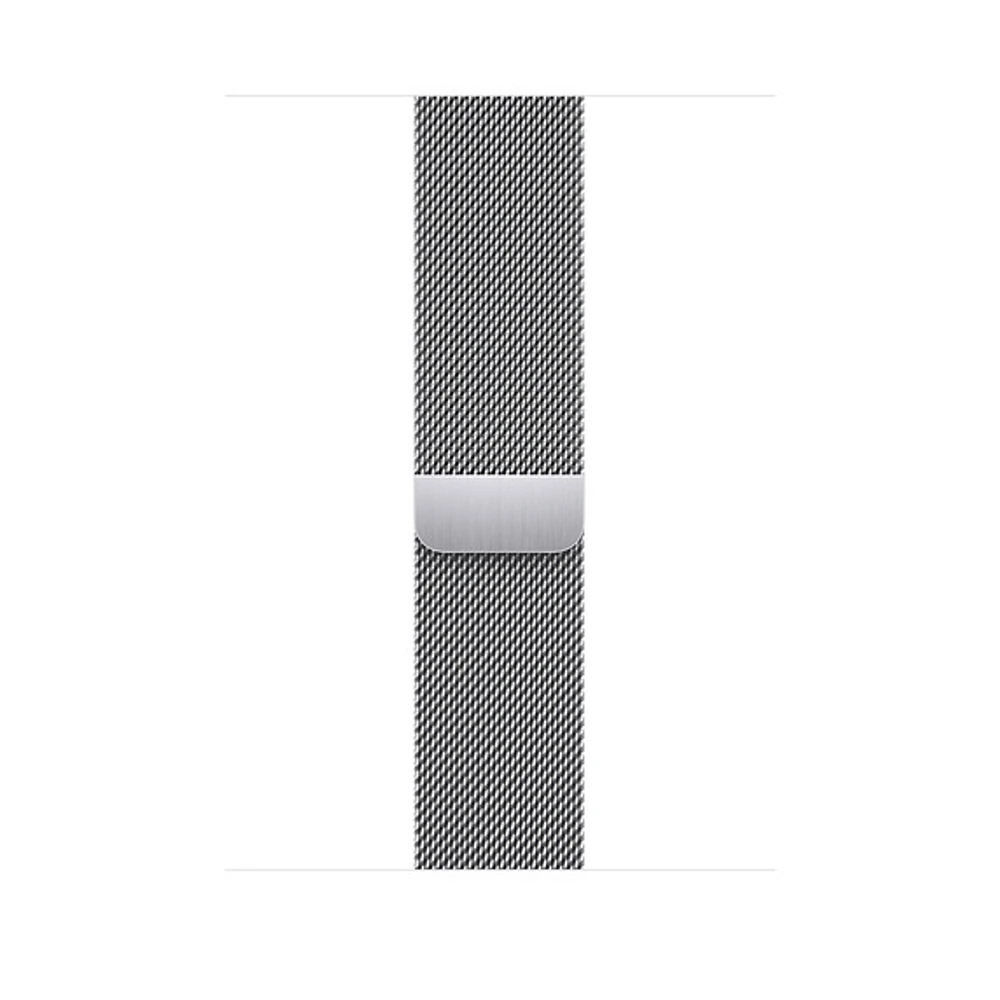 Apple 38/40/41mm Silver Milanese Loop