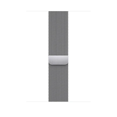 Apple 38/40/41mm Silver Milanese Loop