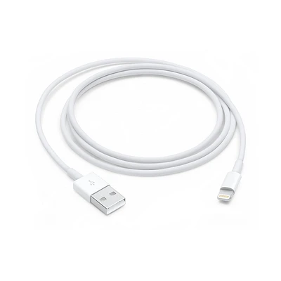 Apple Lightning to USB Cable (1m)