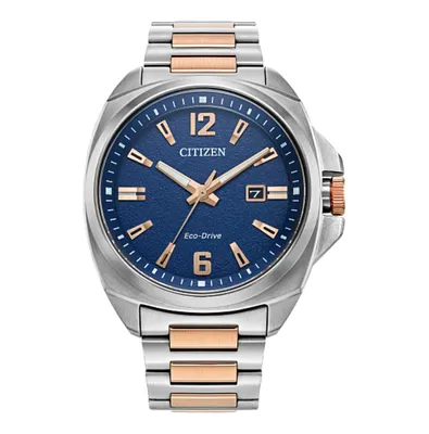 Citizen Eco-Drive Endicott 42mm Watch-AW1726-55L