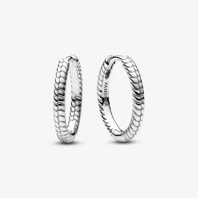 Pandora Moments Small Charm Hoop Earrings 292728C00