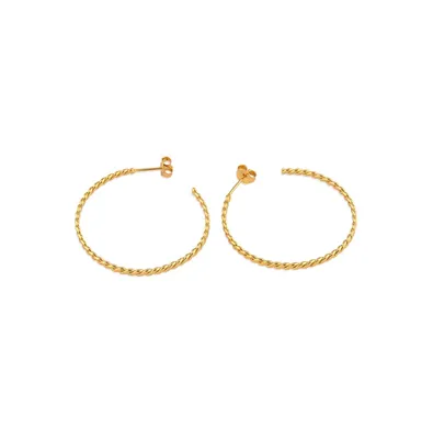 Silver Gold Plated Hoops