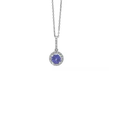 14 Karat White Gold Tanzanite and Diamond Oval Necklace