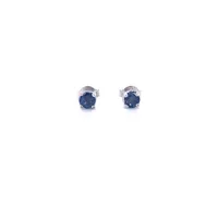 14 Karat White Gold Sapphire Stud Earrings